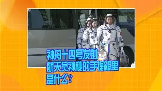 勒沃库森最新伤病情况